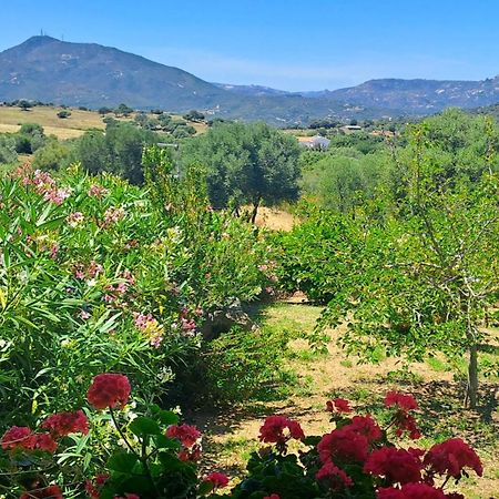 Casa Sole Villa Rudalza ห้อง รูปภาพ