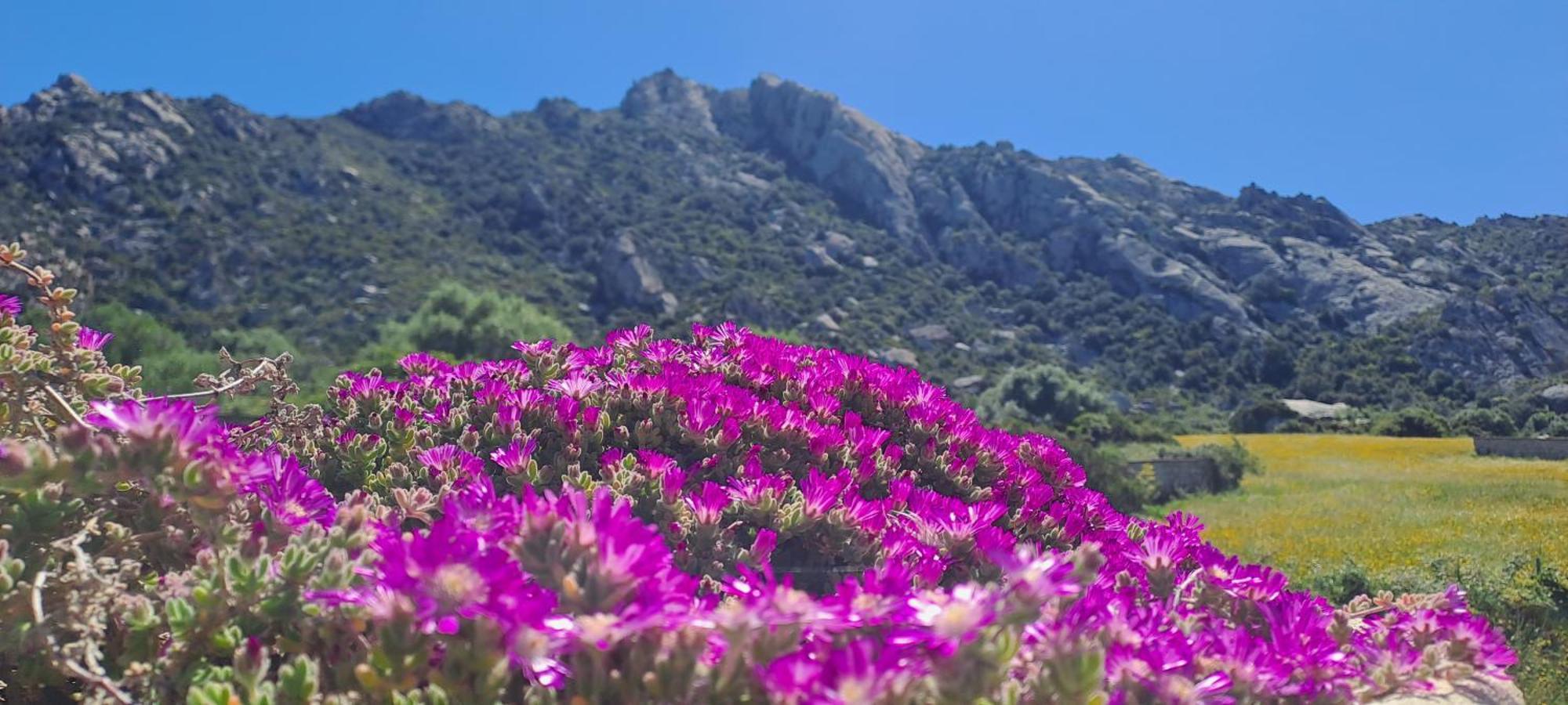 Casa Sole Villa Rudalza ภายนอก รูปภาพ
